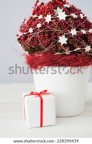 Christmas gift parcel and a Christmas decorated red plant