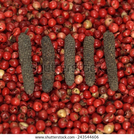 Long pepper on red pepper, close-up