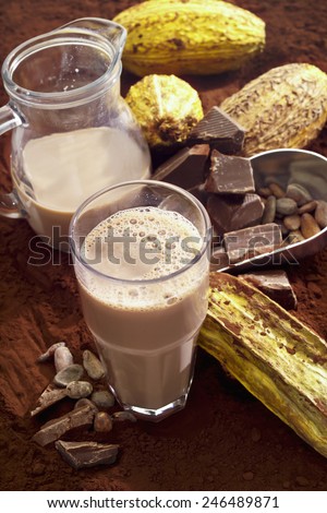 Glass of hot chocolate, cocoa beans, cocoa powder and cocoa fruits