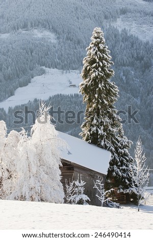 Austria, Salzburg, Snow-covered trees and hut in Altenmarkt-Zauchensee