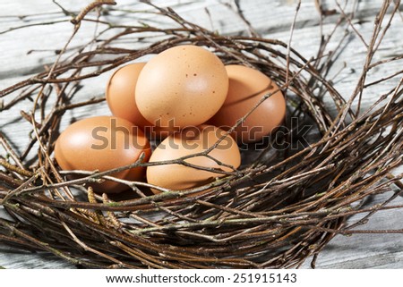 Easter nest, Easter eggs and twigs