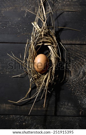 Easter nest, egg in straw