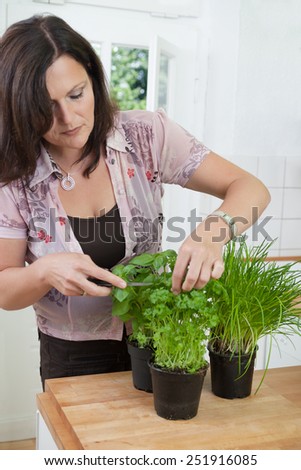 Woman chopping herbs, basil, parsley and chives