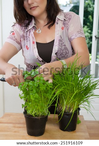 Woman chopping herbs, basil, parsley and chives