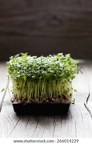 Garden cress, sprouts on wood