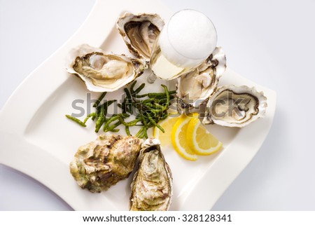 Oysters, lemon, seaweed, champagne glass on plate, white background