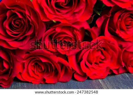 Red natural roses background