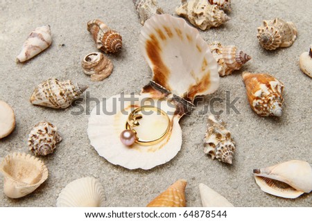 shell with pearl ring