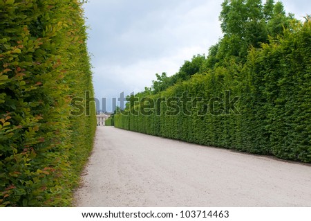 PARIS, FRANCE - MAY 27, 2011: Line of sculpted trees along the path in Versailles gardens on May 27, 2011, France. The Versailles palace is in the UNESCO World Heritage Site list since 1979