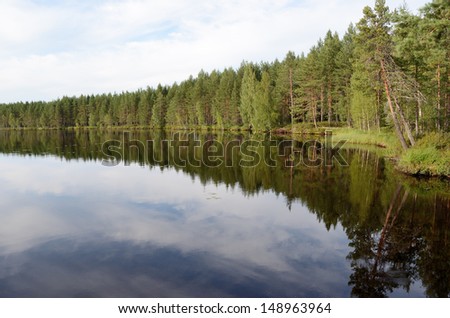 landscape of the forest lake in summer, northern Europe