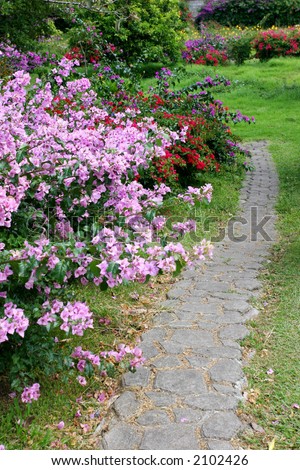 Small path of stone in a colorful garden with many flowers.