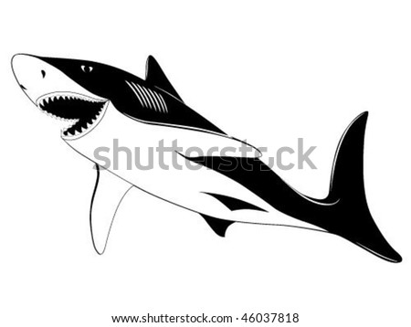 shark tattoo. stock vector : Shark, tattoo