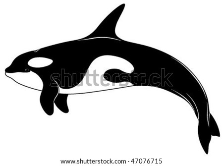 Killer whale in the form of a tattoo. Keywords: orca whale