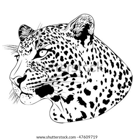 cheetah tattoo. stock vector : Leopard, tattoo