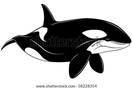 Royalty-Free (RF) Clipart Illustration of a Leaping Orca Killer Whale Over