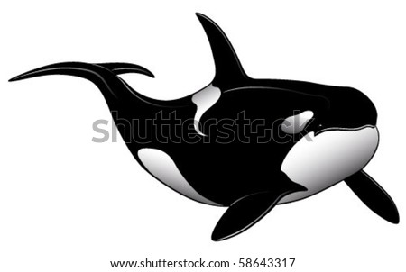 stock vector : Vector Killer whale represented in the form of a tattoo.