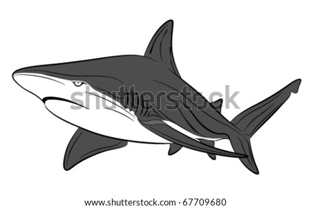 stock vector Vector shark tattoo