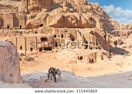 Two pack mules in Ancient Petra city Jordan