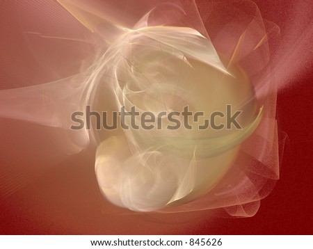 single white rose wallpaper. pictures A single white rose Image single white rose wallpaper. stock photo