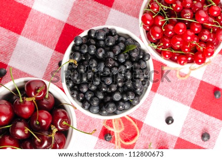 Wild berries in bowls - blueberry, redcurrant, cherry