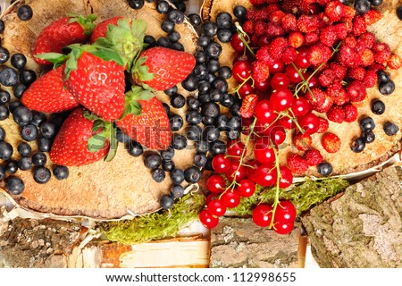 Wild berries - blueberry, redcurrant, strawberry