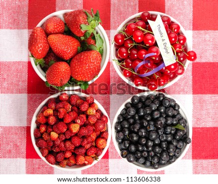 Wild berries in bowls - blueberry, redcurrant, strawberry