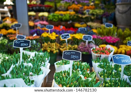 Amsterdam flower market close up details