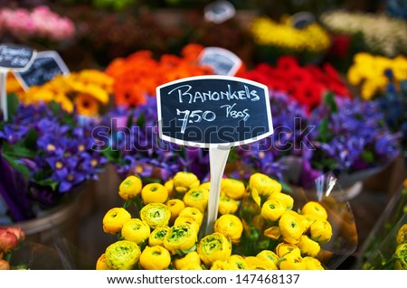 Amsterdam flower market close up details