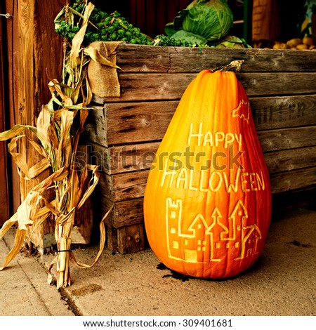 Pumpkin for halloween sale on autumn market