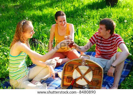 Friends on picnic at sunny day