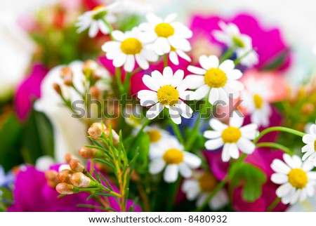 Bouquet close up with shallow depth of field