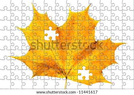 Puzzle Autumn maple leaf isolated on white background