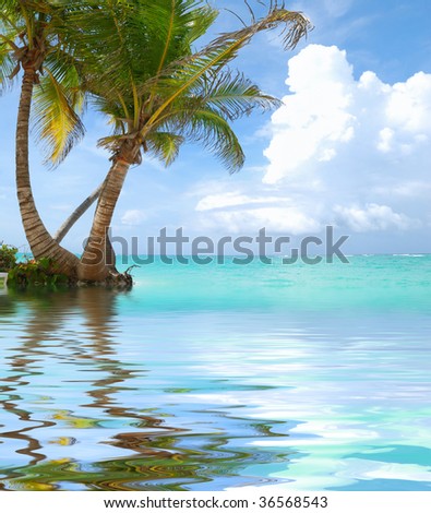 Beautiful caribbean beach in Dominican Republic. Reflection in water.