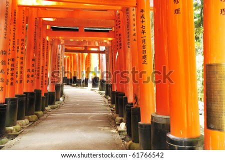 Wooden  Torii Gates at Fushimi Inari Shrine, Kyoto, Japan