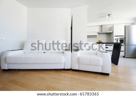 Modern luxury living room interior. I am the AUTHOR of this interior design. There is NO brand names or copyright objects.
