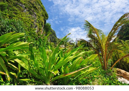 Beautiful tropical nature at  Phi Phi Ley island, the exact place where \