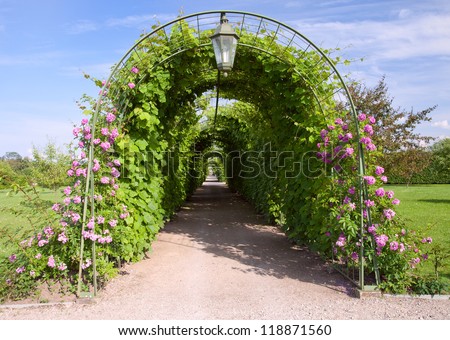 Rose Arch In the Garden