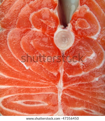 Fresh salmon steak background