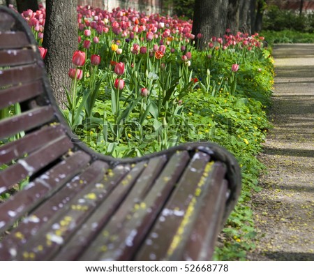 Bench and tulip flower bed by garden path