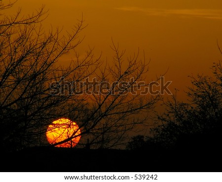 sunset sunset