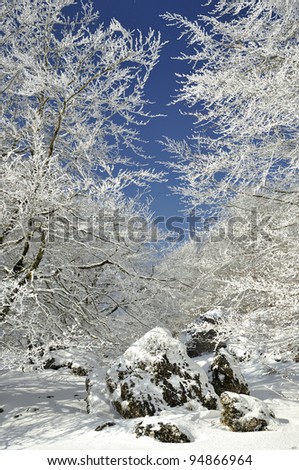Winter snow and ice landscape