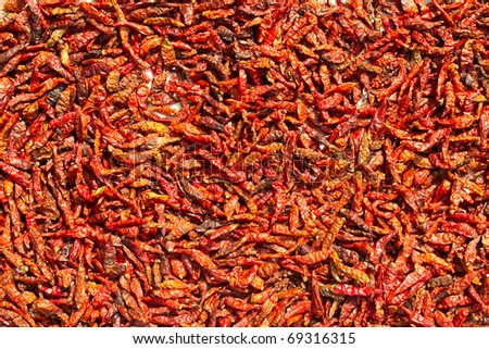 Many dry red chillies.