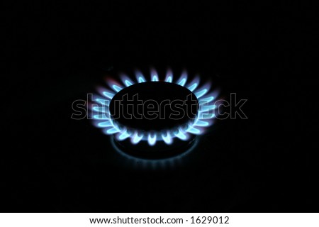 Natural gas stove burner