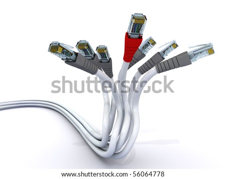 Ethernet Cables on Ethernet Cables Isolated On White Background Stock Photo 56064778