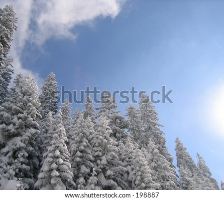 Trees and sun over mountain in Bosnia and Herzegovina