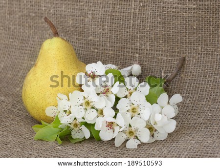 pear and blossom flowers on hessian vintage cloth