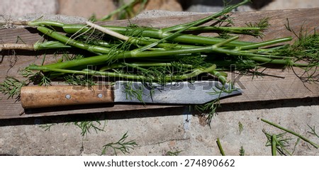 dill with knife outdoor