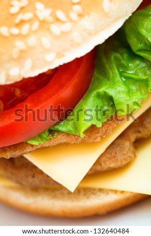 Cheeseburger hamburger macro close-up.