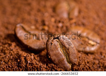 Coffee beans in the heat of the grounded coffe, macro close-up.