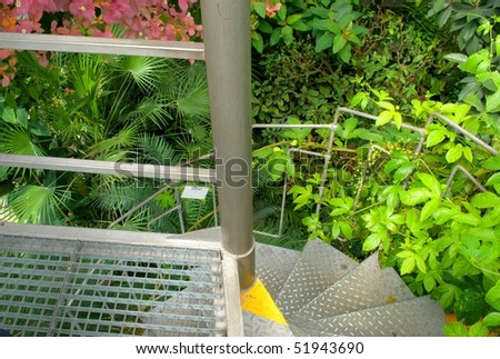steel stairs in the garden